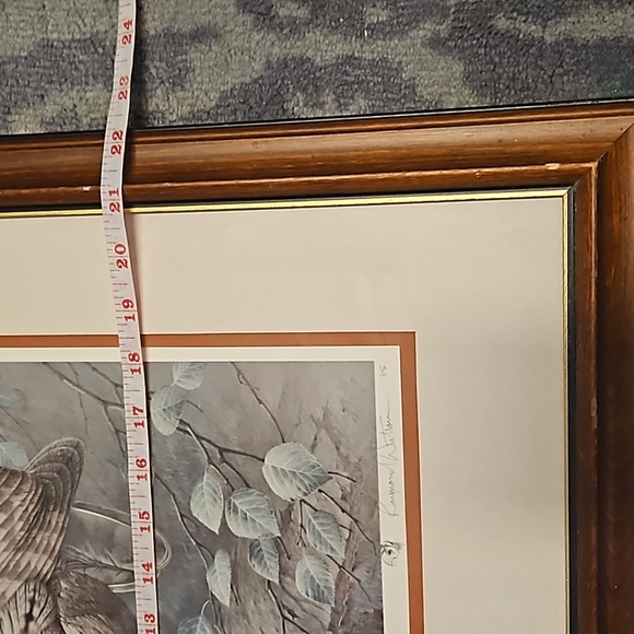 Vintage, Signed, Raymond Watson -Tawny Owl, framed print - Picture 5 of 5